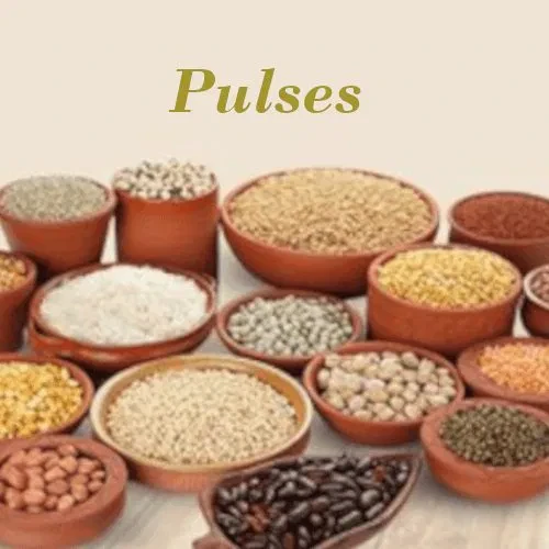 PULSES