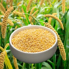Millet